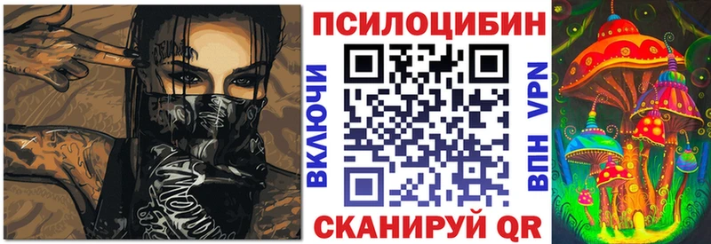 Псилоцибиновые грибы Psilocybe  Омутнинск 